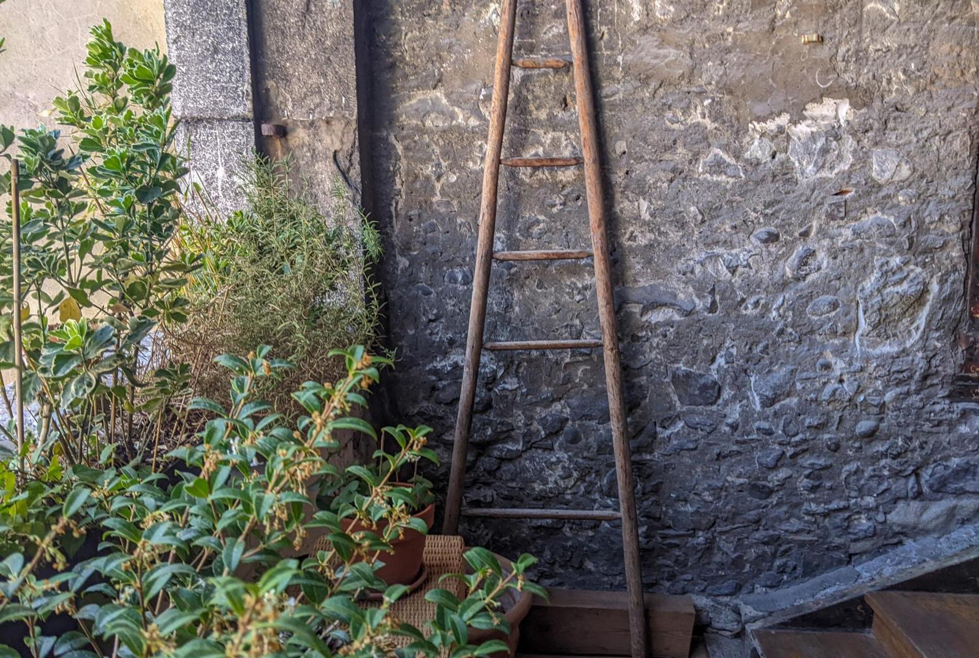 Nid Douillet Bed & Breakfast Annecy Exterior photo